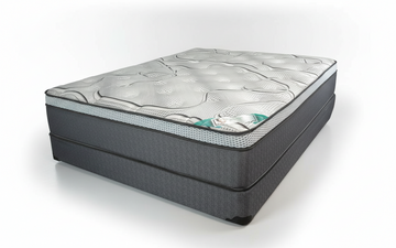 Dream Plush -  11" Pocket Coil Euro Top Mattress (Mattress In A Box)